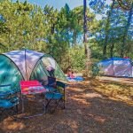 Emplacement tente Forêt Camping Royan Emplacements Camping Royan, Charente Maritime Camping Bois Soleil