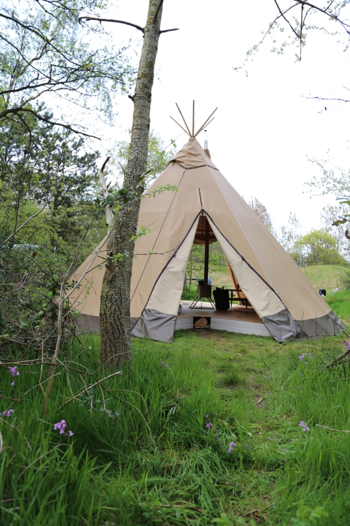 tente-tipi-994vdc.jpg Tente tipi dans la zone des dunes à la pointe sud de Texel – Image 1
