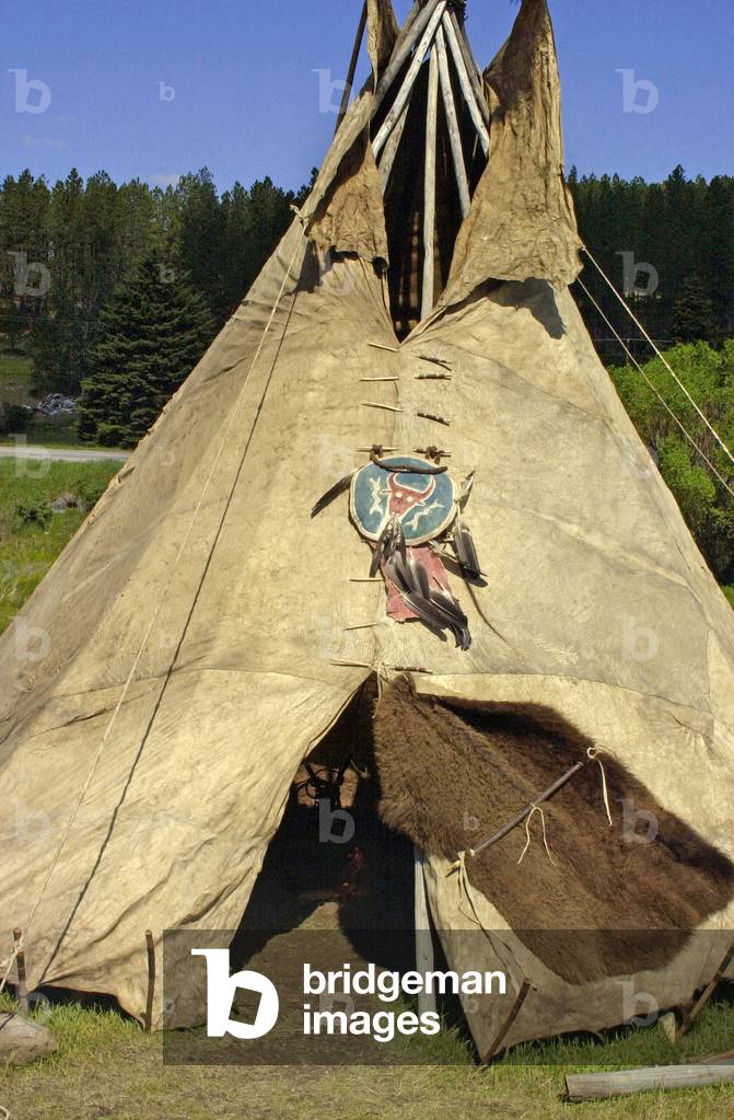 Traditional Sioux Indian teepee made from a bison skin sewn with the tendons of the animal Wicoti Living History Lakota Encampment, Hill City, South Dakota Image of Tipi traditionnel d'indiens Sioux fait a partir d'une peau de – Image 1
